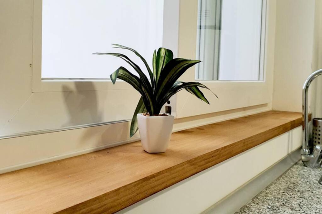Apartamento Interior En El Absoluto Centro Ba Αλγεθίρας Εξωτερικό φωτογραφία
